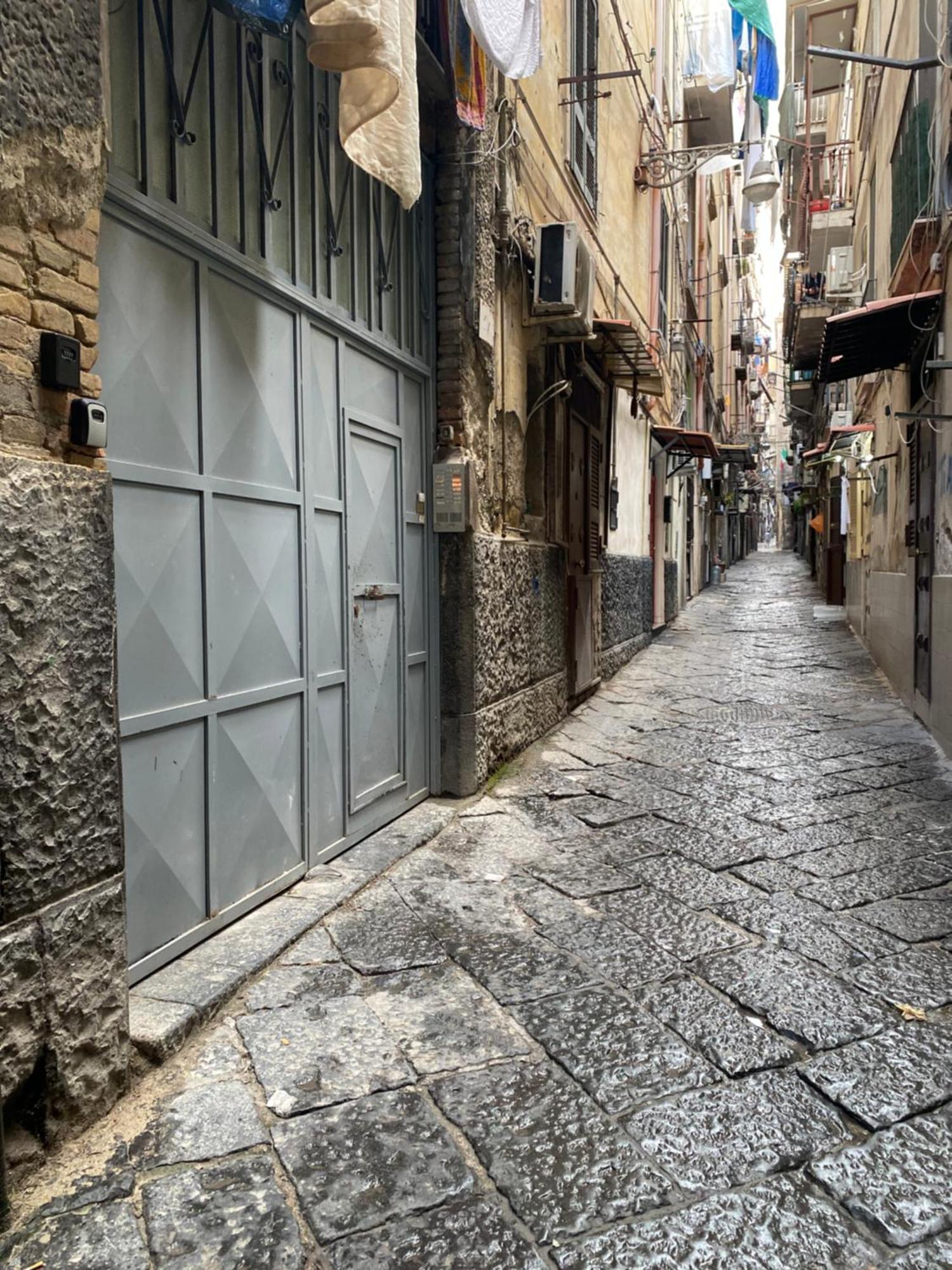 Maison Frattasio * Napoli